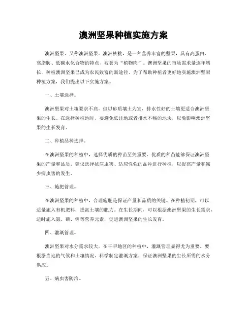 澳洲坚果种植实施方案