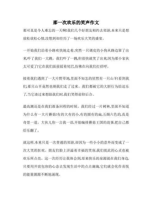 那一次欢乐的笑声作文