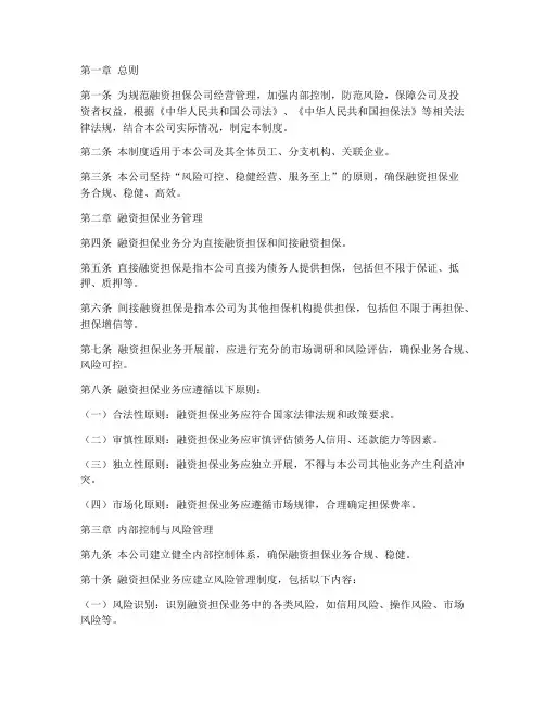融资担保公司管理制度