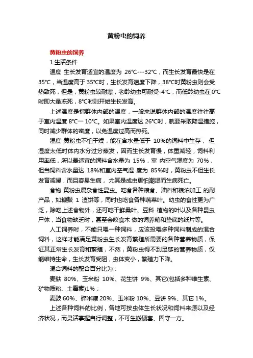 黄粉虫的饲养