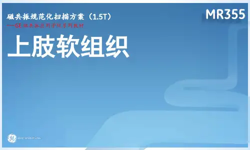 GE1.5T磁共振光纤 MR355 上肢(4-4) 上肢软组织