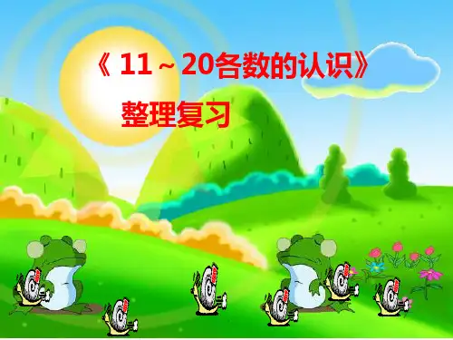 11-20各数的认识复习课授课课件
