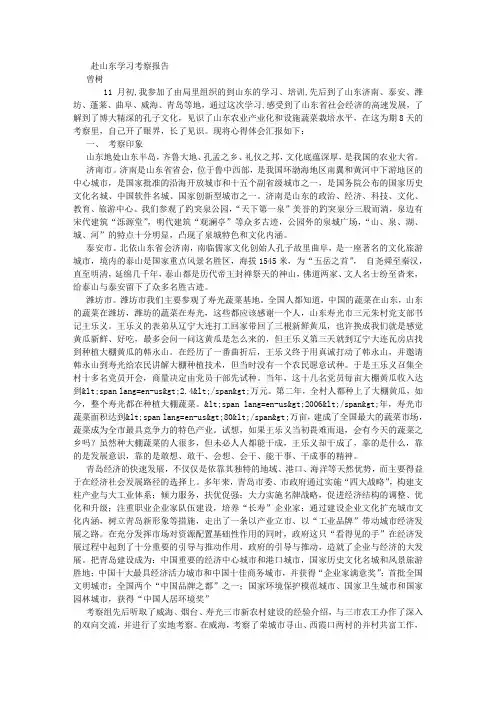 山东考察报告 (7000字)