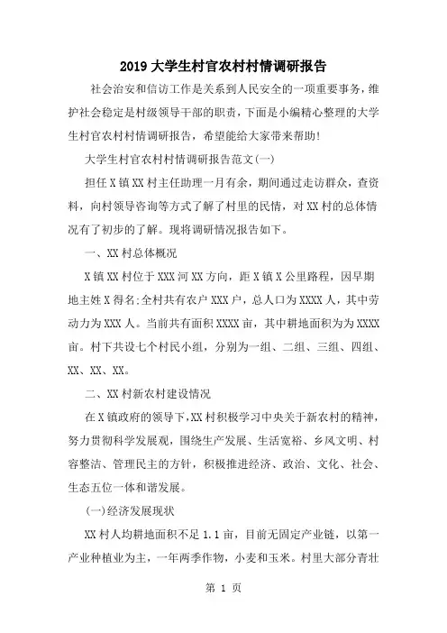 大学生村官农村村情调研报告13页word文档