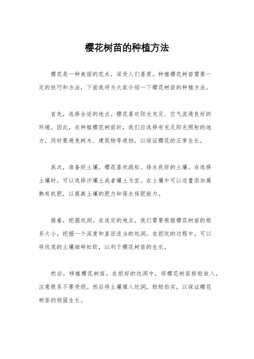 樱花树苗的种植方法