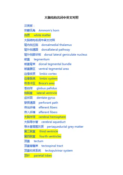 大脑结构名词中英文对照