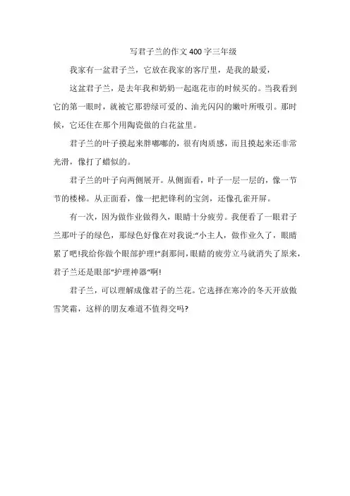写君子兰的作文400字三年级