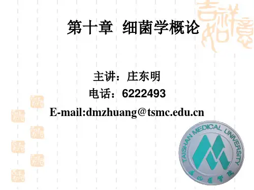 细菌的形态结构与分类