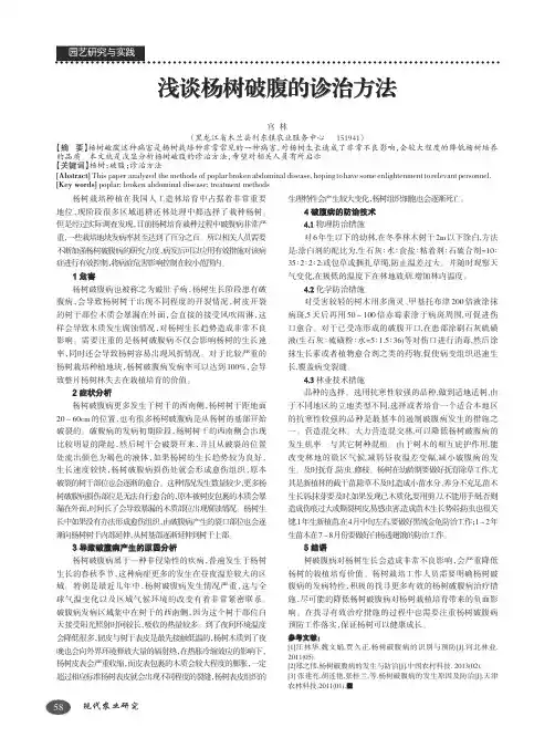 浅谈杨树破腹的诊治方法