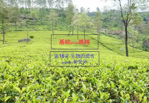 中考生物第16章生物的遗传和变异基础梳理