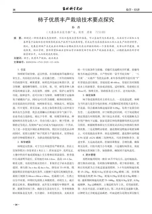 柿子优质丰产栽培技术要点探究