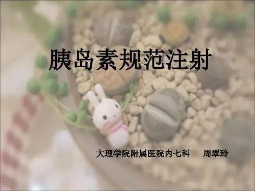 胰岛素规范注射