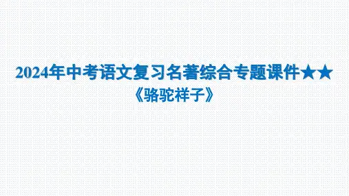 2024年中考语文复习名著综合专题《骆驼祥子》课件(共22张PPT)