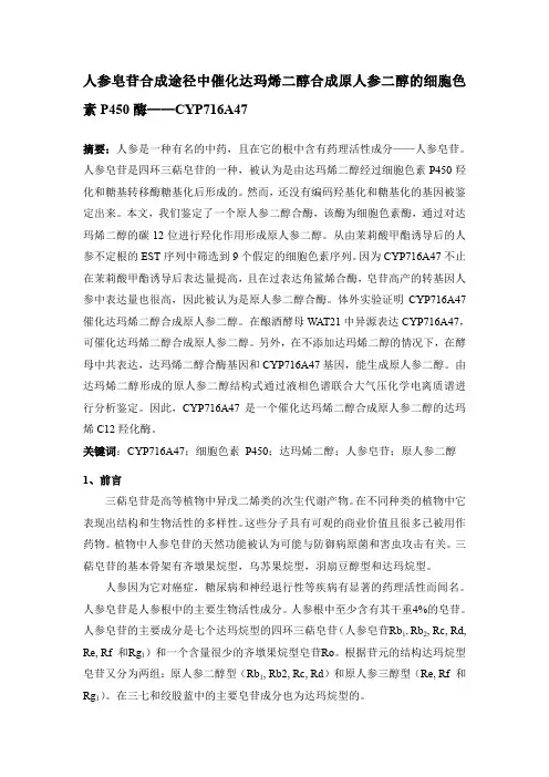 关于P450的一篇英文文章翻译