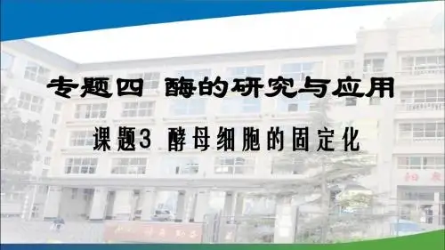 人教版选修1 酵母细胞的固定化 课件(24张)