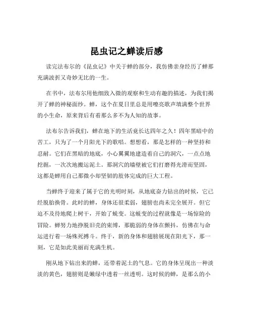 昆虫记之蝉读后感