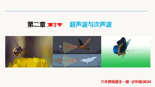 2.3+超声波与次声波(课件)八年级物理上册(沪科版2024)