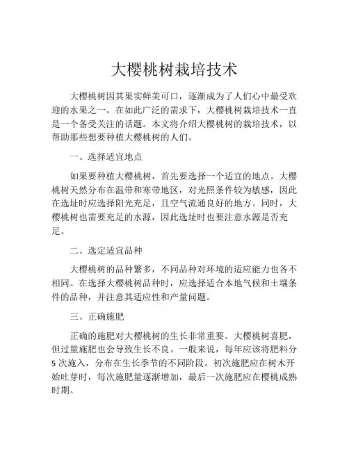 大樱桃树栽培技术