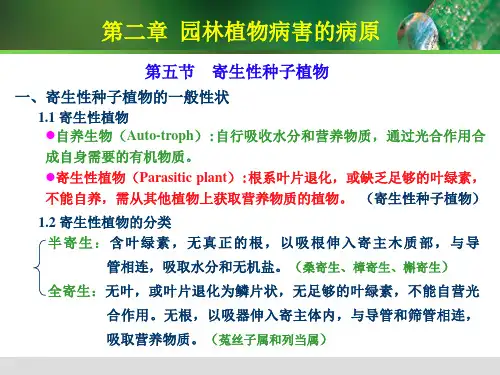 寄生性种子植物