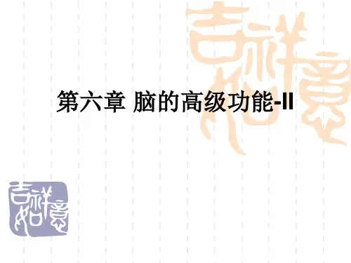 神经生物学第六章 脑的高级功能-2