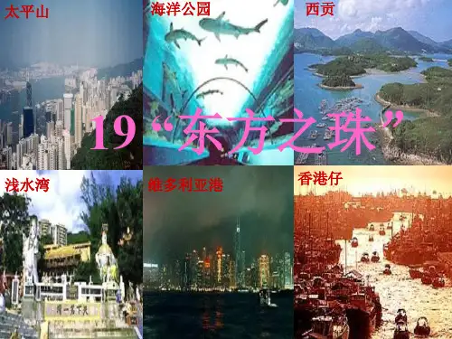 最新苏教版小学三年级上册14《“东方之珠”》ppt课件2公开课优质课件精品