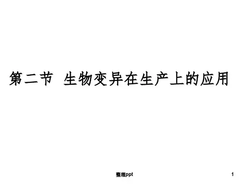 生物变异在生产上的应用(上课用)