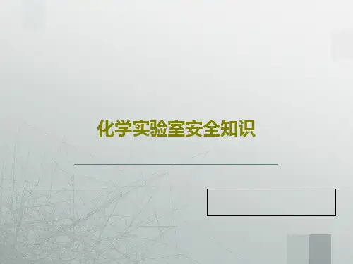 化学实验室安全知识27页PPT