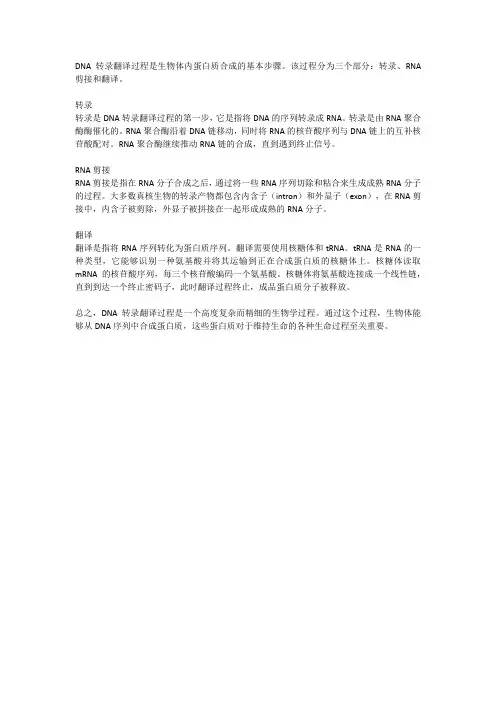 dna转录翻译过程