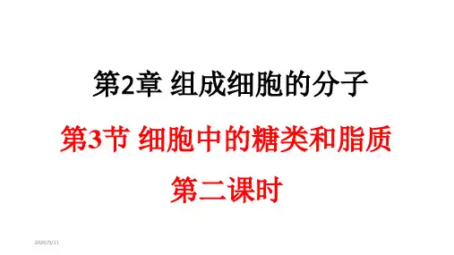 (新教材)高中化学《糖类》课文分析人教版1