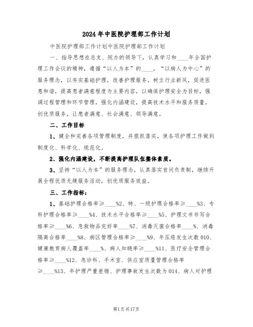 2024年中医院护理部工作计划（5篇）