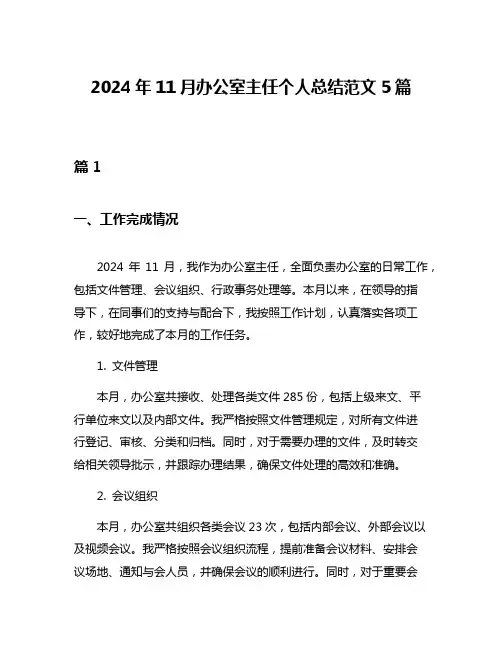 2024年11月办公室主任个人总结范文5篇