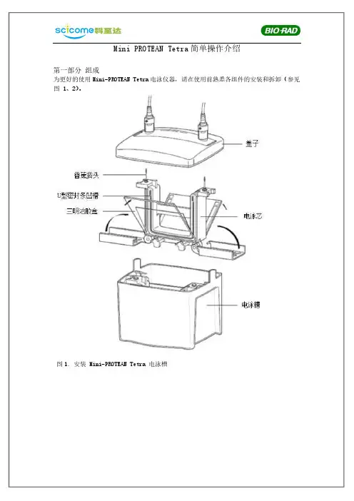 MiniPROTEANTetra简单操作介绍