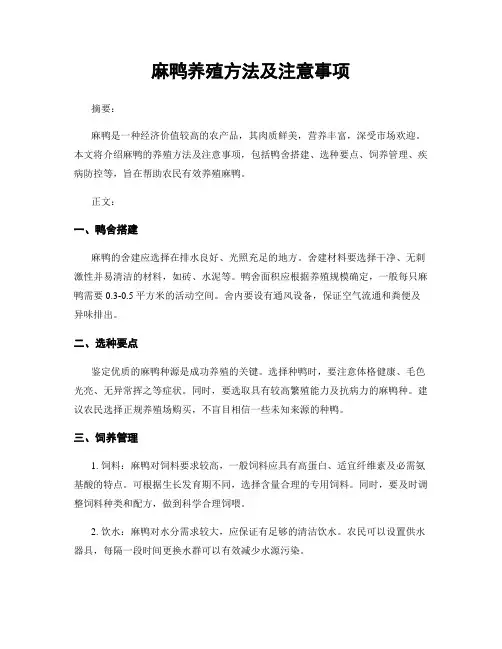 麻鸭养殖方法及注意事项