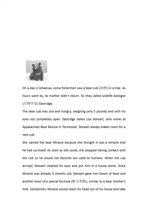 外研版高一英语必修一第一册 unit 5 Into the wild单元测试卷带参考答案和解析