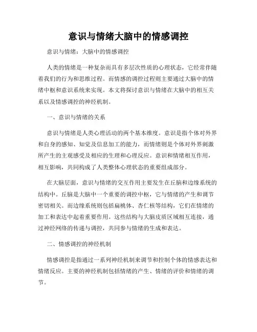 意识与情绪大脑中的情感调控
