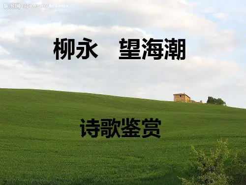 诗歌鉴赏 望海潮