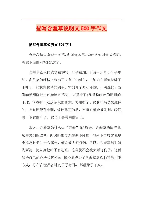 描写含羞草说明文500字作文