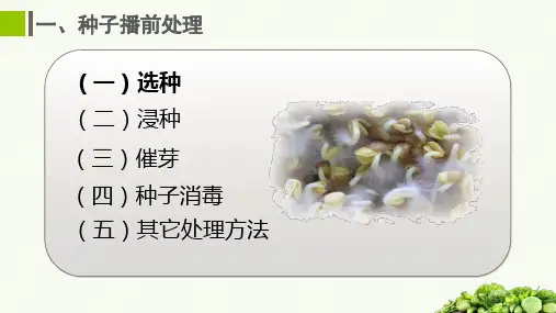 172.1.3种子播前处理与播种技术