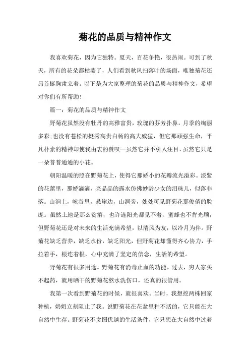 菊花的品质与精神作文