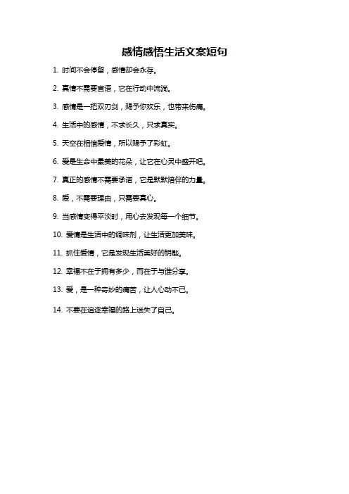 感情感悟生活文案短句