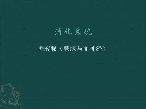 腮腺及面神经解剖及临床ppt课件