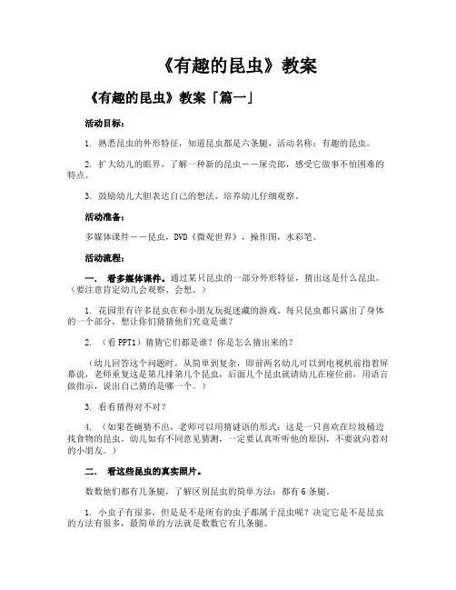《有趣的昆虫》教案