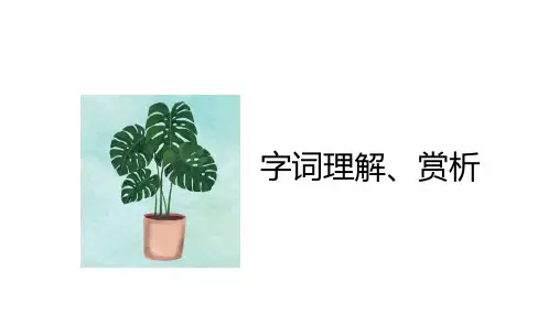 阅读知识点——字词理解、赏析+课件-2022-2023学年语文六年级下册(统编版)