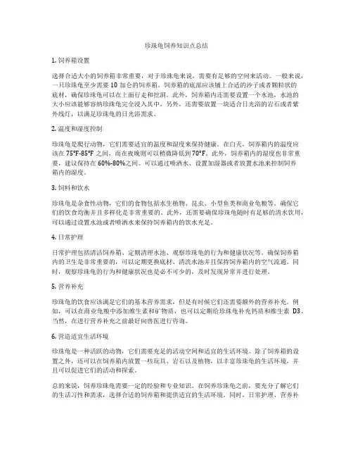 珍珠龟饲养知识点总结