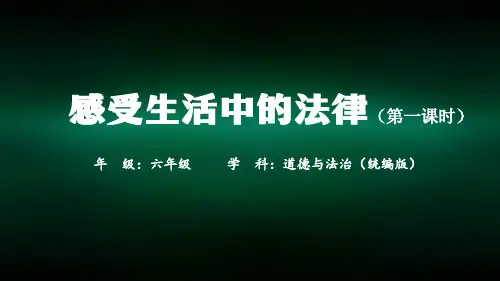 六年级【道德与法治(统编)】感受生活中的法律(第一课时)-教学课件