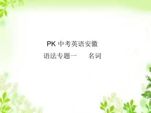 2018中考英语(安徽)复习课件：语法专项突破 语法专题一 名词 (共22张PPT)