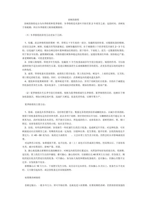 杏树的修剪也分为冬季修剪和夏季修剪
