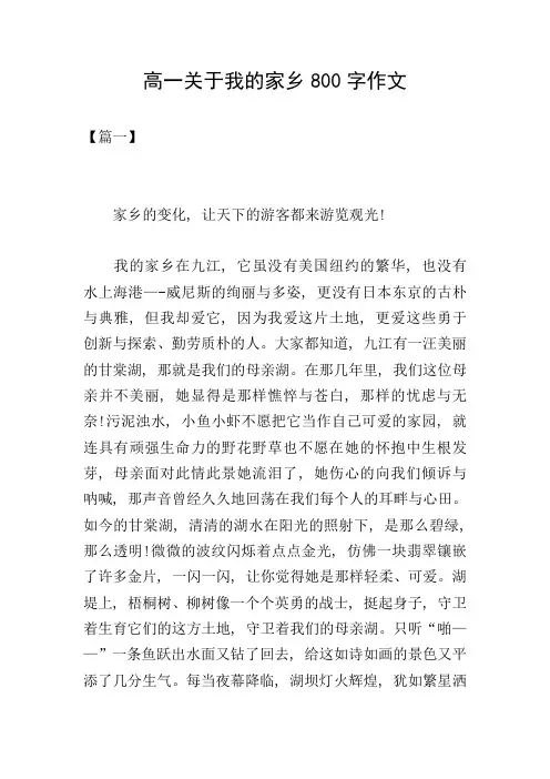 高一关于我的家乡800字作文