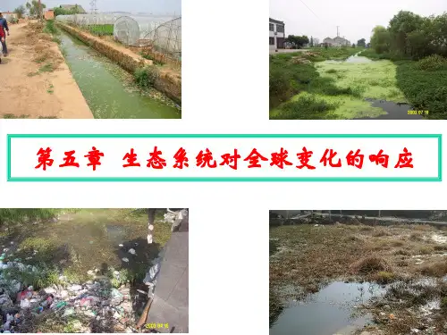 第五章生态系统对全球变化的响应