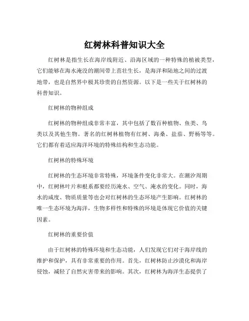 红树林科普知识大全